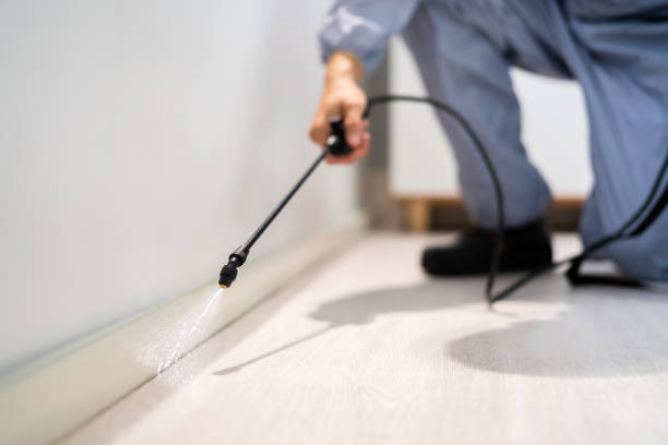 Licensed Termite Control service in Hamilton, IL - Nex Pest Control