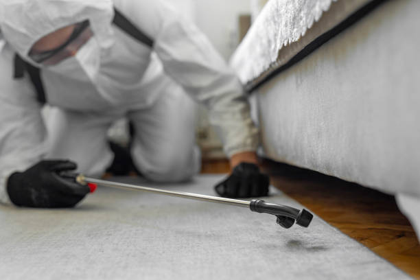 Professional Termite Control technician working in Hamilton, IL