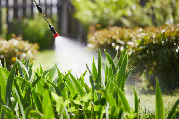 24/7 Emergency Termite Control experts in Hamilton, IL