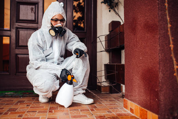 Reliable Termite Control contractor in Hamilton, IL by Nex Pest Control