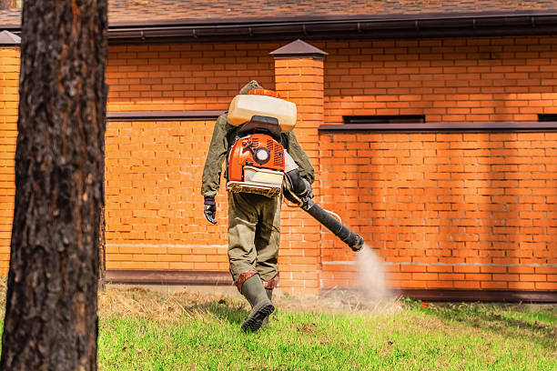 Top rated local Termite Control specialists in Hamilton, IL